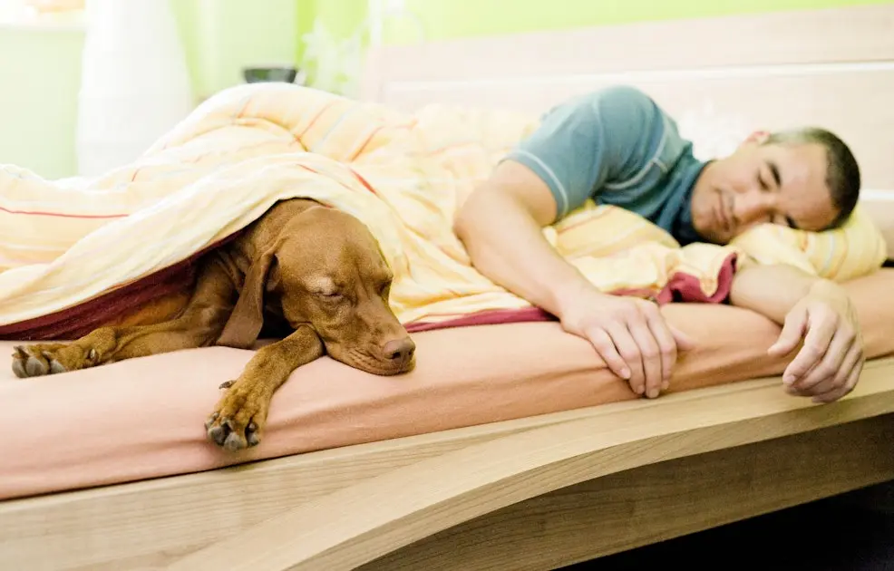 Hunde im Bett? Martin Rütter äußert sich klar und deutlich!