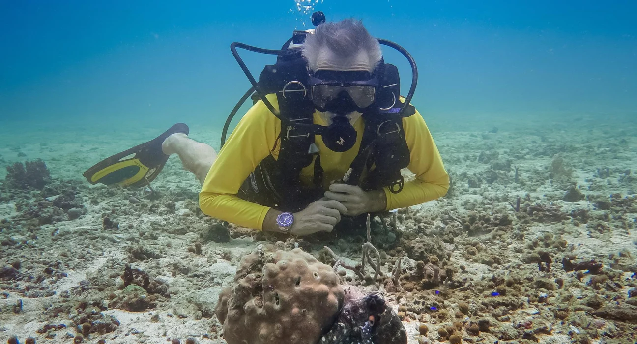 Schockierende Enthüllungen: Im Einsatz für den Oktopus – Warum wir sofort handeln müssen!