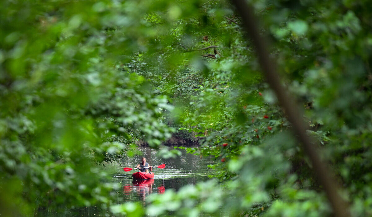 spreewald 1