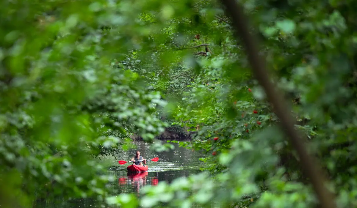 Mit dem Faltboot im Spreewald: Paddeln, bis die Schleuse kommt – Ein unvergessliches Wasserabenteuer wartet auf dich!