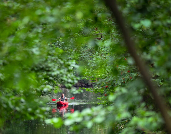 spreewald 1