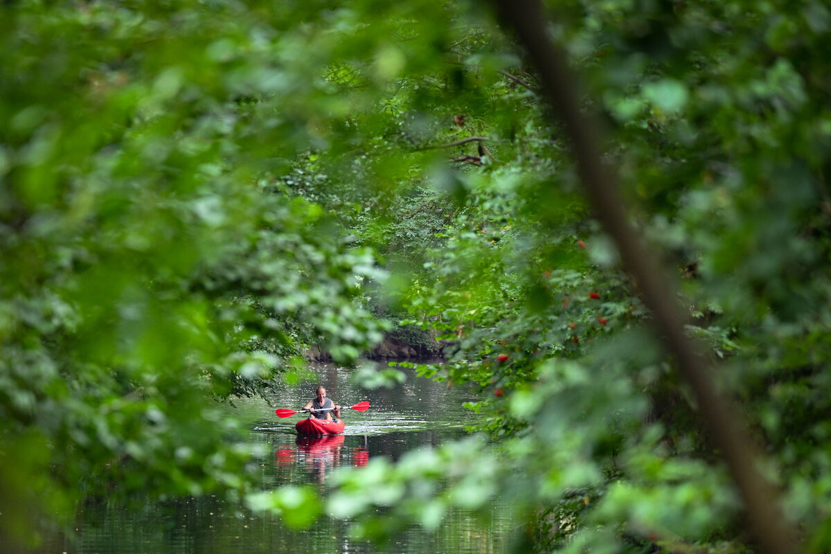spreewald 1