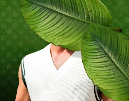 <p><strong>Dschungelcamp 2026: Der größte Trash-TV-Casanova zieht ein!</strong></p>