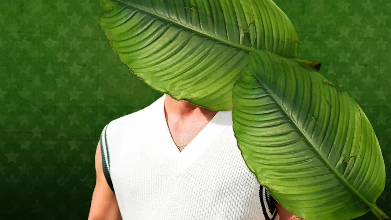<p><strong>Dschungelcamp 2026: Der größte Trash-TV-Casanova zieht ein!</strong></p>